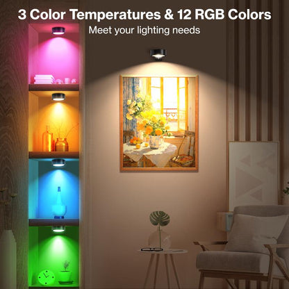 Modolight™ 3pc Round Light